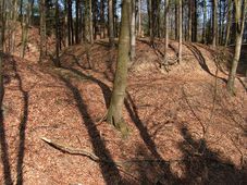 Erdwerke der Vorburg (2006) - © Patrick Schicht