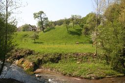 Hausberg von O (2006) - © Gerhard Reichhalter