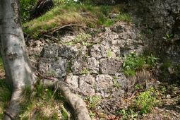 Mauerrest an der S-Seite (2006) - © Gerhard Reichhalter