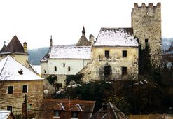 Buchberg. Ansicht der Burg von N (1999) - © Gerhard Reichhalter