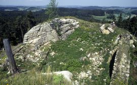 Burgleiten. Innenansicht der Burgreste von S (2000) - © Karin Kühtreiber