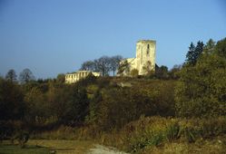 Döllersheim. Ansicht der Schlossruine (1984) - © Leopold Mayböck