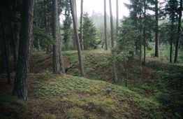 Kehrbach II. Ansicht der Wall-Grabenanlage (1989) - © Leopold Mayböck