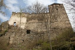 Lichtenfels. Ansicht des W-Berings (2008) - © Gerhard Reichhalter