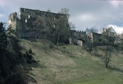 Mollenburg. Ansicht der Burg von O (1983) - © Leopold Mayböck