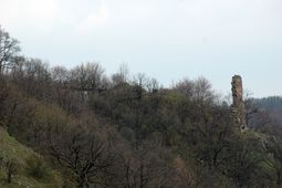 Neudegg. Ansicht der Burg von SW (2008) - © Thomas Kühtreiber