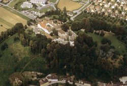 Propsteiberg (Zwettl). Luftbild von SO (1999) - © Gabriele Scharrer-Liška, VIAS