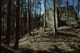 Rundersburg. Ansicht der Ruine von SO (1998) - © Thomas Zoder