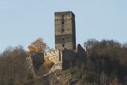 Schauenstein. Ansicht der Burg von SO (2006) - © Thomas Zoder