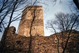 Schauenstein. Bering und Bergfried von SW (1991) - © Leopold Mayböck