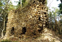 Schmerbach. Der Bergfried von SO (1999) - © Gerhard Reichhalter