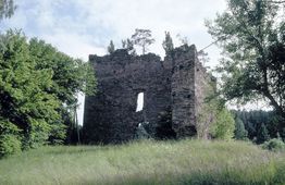 Schwarzau. Ansicht der Ruine von SO (1989) - © Thomas Kühtreiber