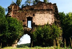 Schwarzau. Ansicht der Ruine von N (1994) - © Gerhard Reichhalter