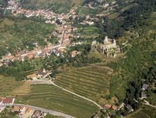 Senftenberg I. Luftbild von SW (1999) - © Gabriele Scharrer-Liška, VIAS