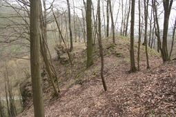 Sitzendorf. Ansicht des Burgstalls (2008) - © Gerhard Reichhalter
