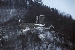 Stallegg. Ansicht der Burg von O (1999) - © Thomas Zoder