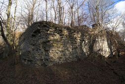 Steinegg. Ansicht der Vorburg von SO (2007) - © Thomas Zoder