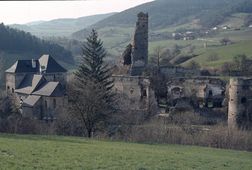 Streitwiesen. Ansicht der Burg von SO (1984) - © Leopold Mayböck