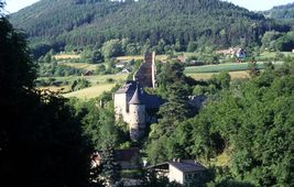 Streitwiesen. Ansicht der Burg von SW (2003) - © Thomas Kühtreiber