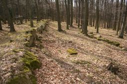 *Sulz. Ansicht des ehem. Sitzes von NW (2008) - © Gerhard Reichhalter