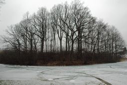 Wasen. Ansicht des Hausbergs von S (2009) - © Thomas Kühtreiber