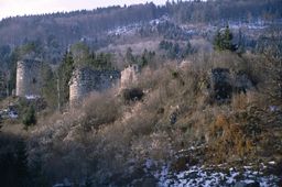 Wimberg. Ansicht der Burg von SO (1985) - © Leopold Mayböck