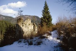 Wimberg. Die Hauptburg von W (1985) - © Leopold Mayböck