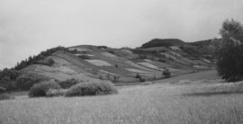 Bergau I. Historische Ansicht (vor 1963) der noch unbewaldeten Hausberganlage von NW - © aus: Schad’n: Bildatlas