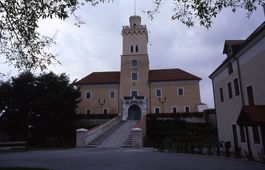 Dürnkrut. Blick auf das Kernschloss von SO (2002) - © Thomas Zoder