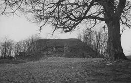 Hetzmannsdorf. Historisches Foto (vor 1963) der noch bewuchslosen Hausberganlage von O - © aus: Schad’n: Bildatlas