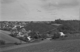 Hornsburg. Historisches Foto der noch unbewaldeten Anlage von SSW - © aus: Schad’n: Bildatlas