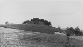Kleinebersdorf. Historisches Foto (vor 1963) der noch unbewaldeten Hausberganlage von O - © aus: Schad’n: Bildatlas
