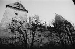 Orth. Außenansicht des Schlosses (um 1980) - © Gerhard Reichhalter