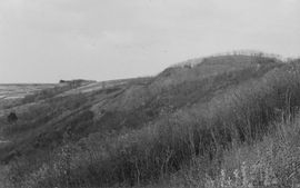 Weikersdorf. Ansicht der Hausberganlage von SSW aus dem Jahr 1932 - © aus: Schad’n: Bildatlas