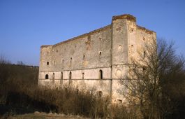 Wenzersdorf. Blick auf die Schlossruine von W (1996) - © Thomas Zoder